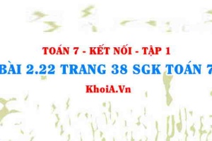 Bài 2.22 trang 38 SGK Toán 7 tập 1 Kết nối tri thức